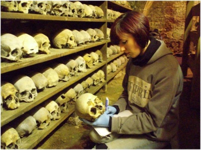 Lauren examining skeletal remains at the Rothwell charnel chapel.